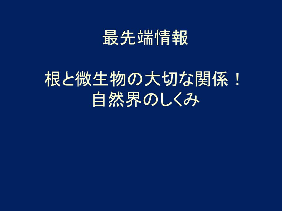 ソリューション ストレス対策 アクションコーポレーションの農業肥料 土壌 品質改善 収穫アップ