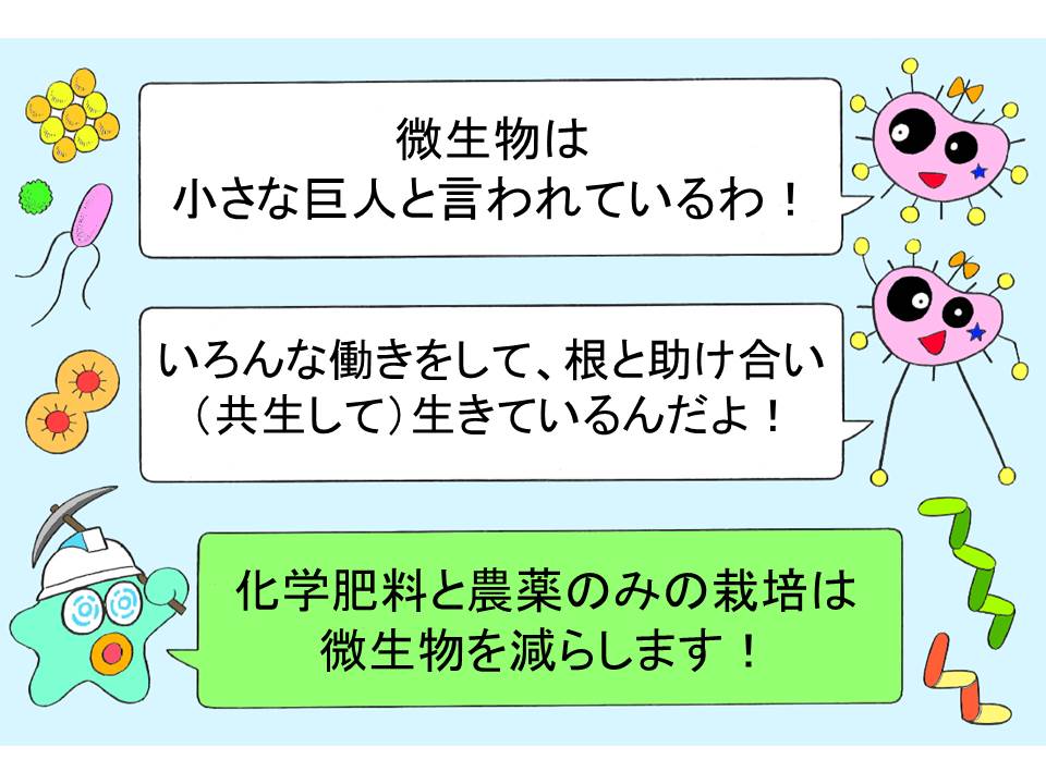 ソリューション 根の発育と土壌改善 アクションコーポレーションの農業肥料 土壌 品質改善 収穫アップ